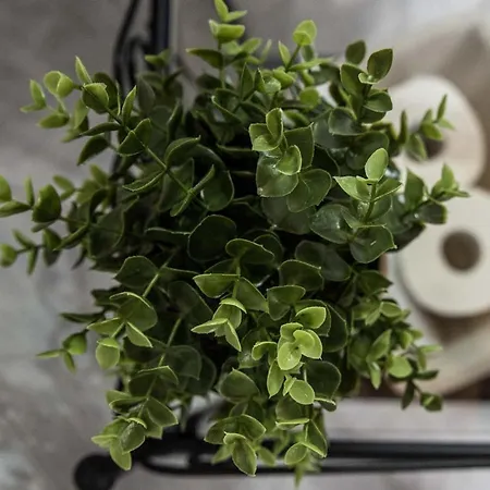 Nefeli 3* Agios Athanasios (Pella)